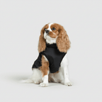 Dog Waterproof Insulated Winter Jacket Outdoor Pet Coat