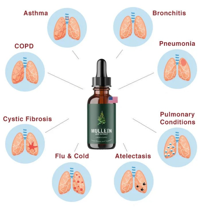 Mullein Leaf Extract Liquid Supplement for Lung Support