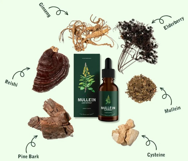 Mullein Leaf Extract Liquid Supplement for Lung Support