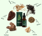 Mullein Extract Liquid Herbal Supplement for Lung Support Detox