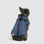 Dog Waterproof Insulated Winter Jacket Outdoor Pet Coat