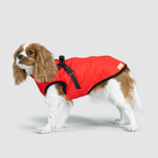 Dog Waterproof Insulated Winter Jacket Outdoor Pet Coat