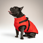 Dog Waterproof Insulated Winter Jacket Outdoor Pet Coat