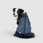 Dog Waterproof Insulated Winter Jacket Outdoor Pet Coat
