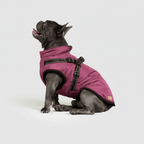 Dog Waterproof Insulated Winter Jacket Outdoor Pet Coat