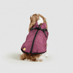 Dog Waterproof Insulated Winter Jacket Outdoor Pet Coat