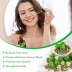 Black Castor Oil Organic Cold Pressed Hair and Skin Oil