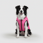Dog Waterproof Insulated Winter Jacket Outdoor Pet Coat