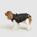 Dog Waterproof Insulated Winter Jacket Outdoor Pet Coat