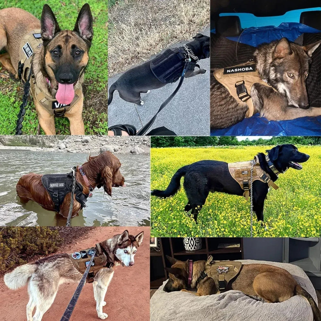 Dog Tactical Vest Harness with Quick Release System