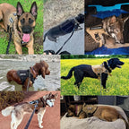 Dog Tactical Vest Harness with Quick Release System