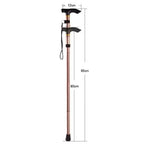 Adjustable Aluminum Hiking Pole Trekking Stick Outdoor Walking Stick