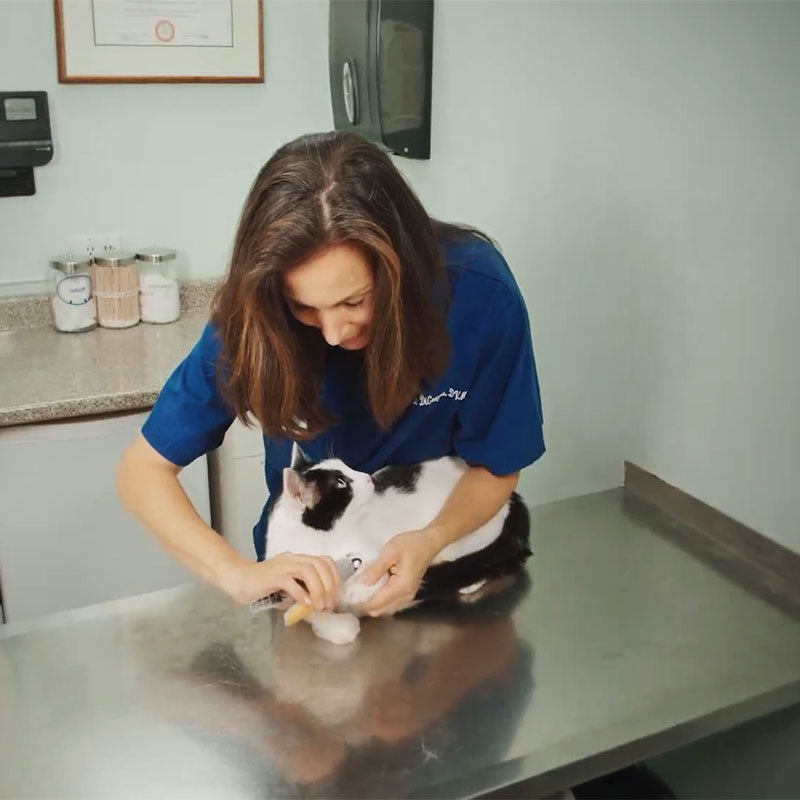 Dog Nail Clippers with Sensor Safety Feature