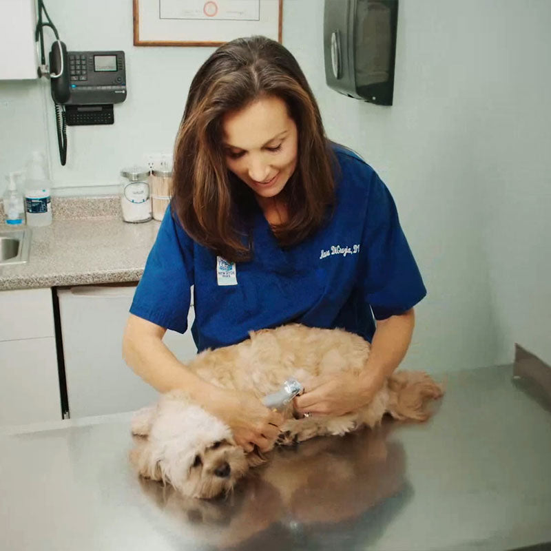 Dog Nail Clippers with Sensor Safety Feature