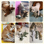 Plush Crocodile Dog Toy with Squeaker and Textured Fabric