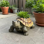 Turtle Shaped Resin Succulent Planter Pot for Small Plants and Cacti