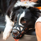 Adjustable Nylon Dog Muzzle Safety Canine Muzzle
