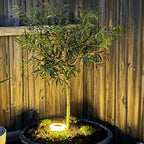 Solar Powered Outdoor Garden LED Lights Weather Resistant